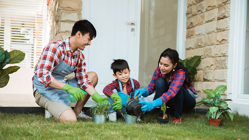 family potting plants outside