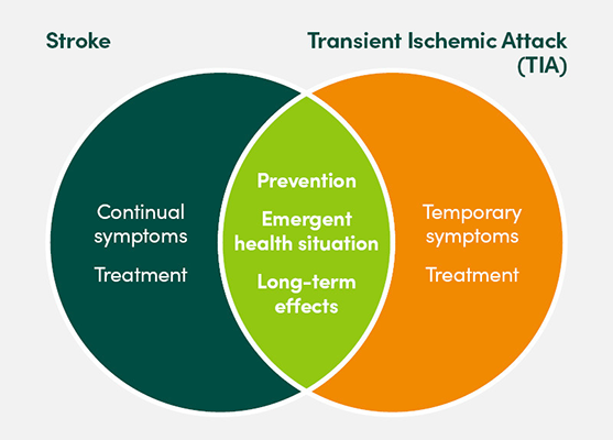 ven diagram