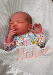 Hadlee Joeleen